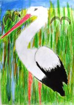 Bella Tomáš (2).jpg